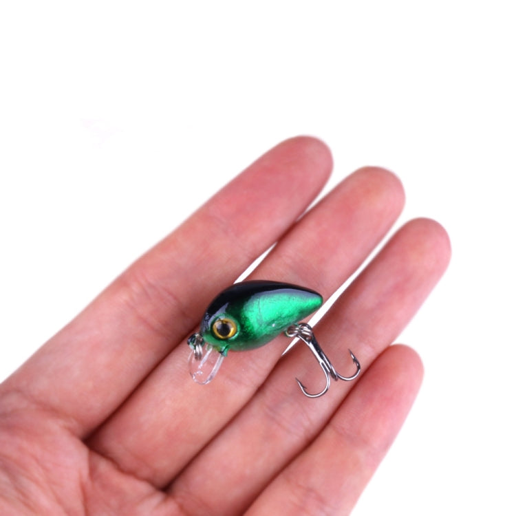 Fishing Lure Hard Bait 10 Piece Rock Fishing Kit in Plastic Box